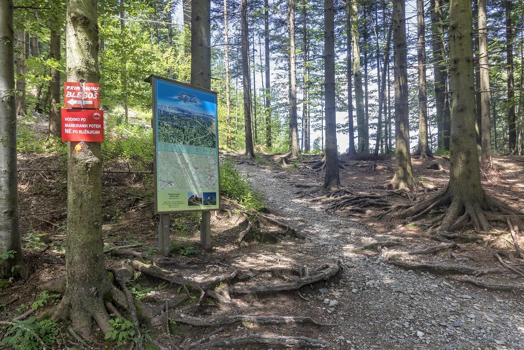 Gostilna Pension Blegos Poljane nad Škofjo Loko Exterior foto
